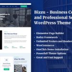Bizzu - Business Consulting and Professional Services