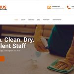 Evrus - Carpet Cleaning and Disinfection WordPress Theme