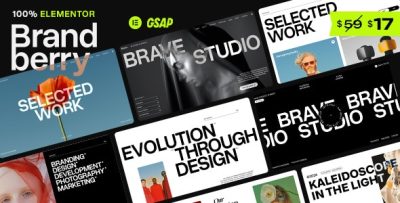 Brandberry - Creative Elementor WordPress Theme