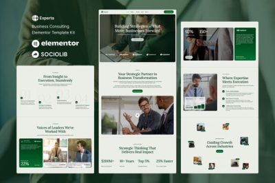 Experta - Business Consulting Elementor Template Kit