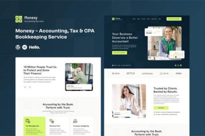 Monesy - Accounting, Tax & CPA Bookkeeping Service Elementor Template Kit