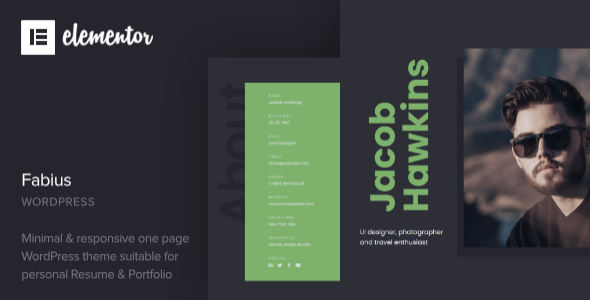Fabius - One Page Resume WordPress Theme Fabius - One Page Resume WordPress Theme