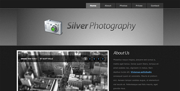 Silver Photography | Photo Template Silver Photography | Photo Template