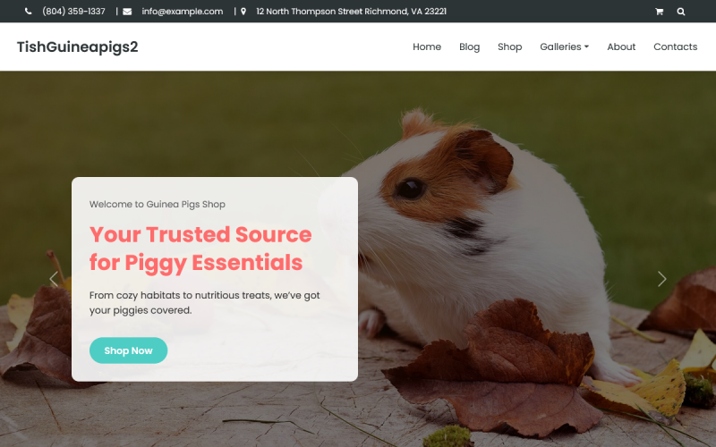 TishGuineaPigs2 - Guinea Pigs WooCommerce Theme TishGuineaPigs2 - Guinea Pigs WooCommerce Theme