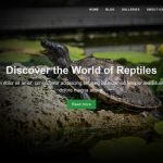 TishReptile - Reptile WordPress Theme