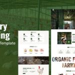 CluckCo - Organic Poultry, Egg Production & Agriculture Business WooCommerce Elementor Theme