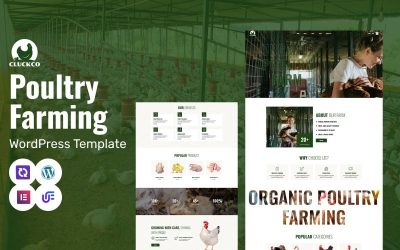 CluckCo - Organic Poultry, Egg Production & Agriculture Business WooCommerce Elementor Theme