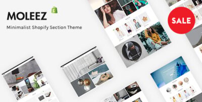 Moleez - Minimalist Shopify Section Theme