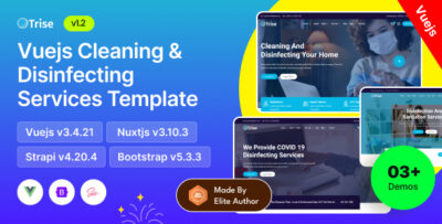 Trise - Cleaning & Disinfecting Services Vue Strapi 4 Template