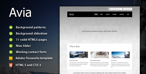 Avia - Clean Business Template Avia - Clean Business Template