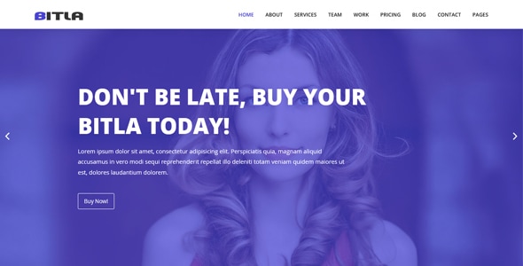 Bitla - Multipurpose Responsive Template Bitla - Multipurpose Responsive Template