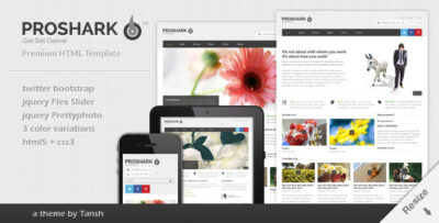 Proshark Responsive Corporate HTML Template