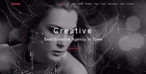 Zalim- One Page Multipurpose Template Zalim- One Page Multipurpose Template