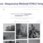 Buckzo - Responsive Minimal Website Template