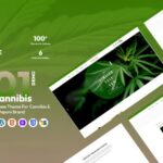 Cannibis – Clean Woocommerce Theme For Cannabis, Smoke & Vapors Brand