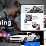 Caricon - Auto Tuning Multipurpose WordPress Elementor Theme