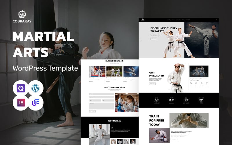 Cobra Kay - Martial Arts School And Training WordPress Elementor Theme Cobra Kay - Martial Arts School And Training WordPress Elementor Theme