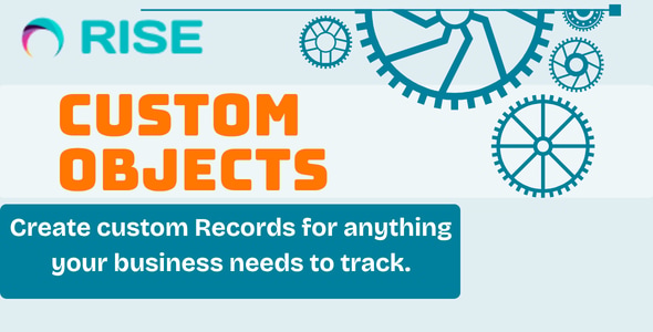 Custom Objects Plugin for RISE CRM Custom Objects Plugin for RISE CRM