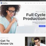 DigiMeg - Communication Agency WordPress theme
