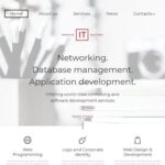 Effective IT Solutions WordPress Theme