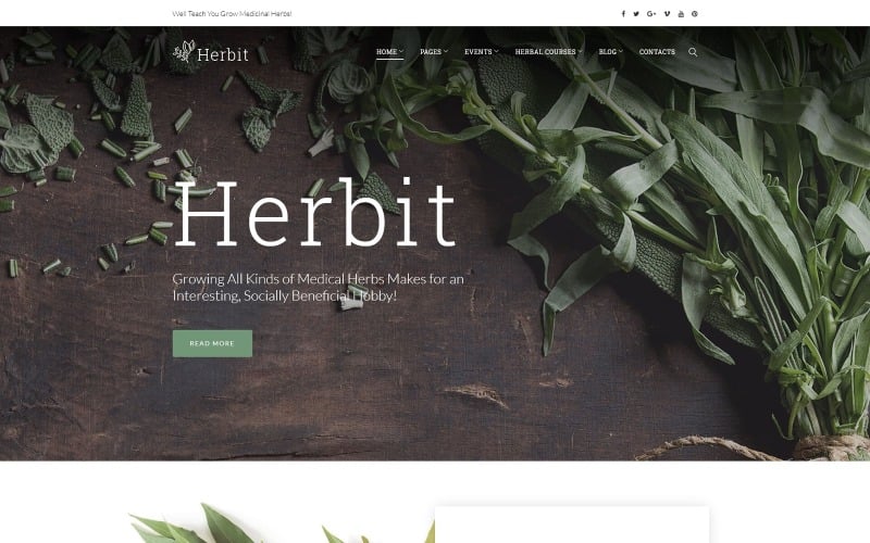 Herbit WordPress Theme Herbit WordPress Theme