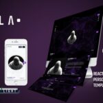 Kala React Personal Portfolio Website Template