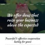 Leader WordPress Theme