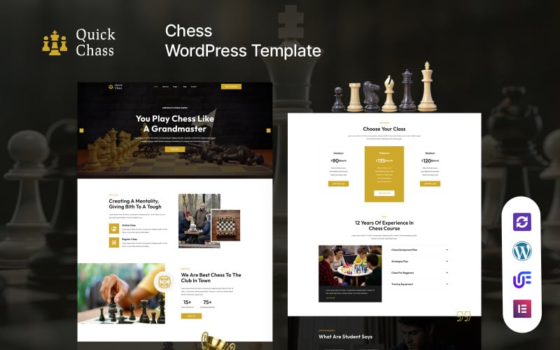 Quick Chass - Chess Club And Board Games WordPress Elementor Theme Quick Chass - Chess Club And Board Games WordPress Elementor Theme