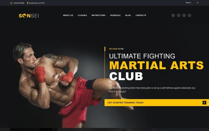 Sensei - Martial Arts WordPress Theme Sensei - Martial Arts WordPress Theme