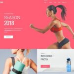 Stor - Fitness Accessories Store Multipurpose Classic Elementor WooCommerce Theme