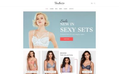 Tendresse - Lingerie Elementor WooCommerce Theme