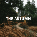 The Autumn - HTML - Portfolio | Responsive Website Template