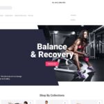 Tm Francy WooCommerce Theme
