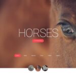 Horses - Horse Responsive Creative HTML Website Template
