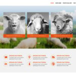 Sheep Farm Website Template