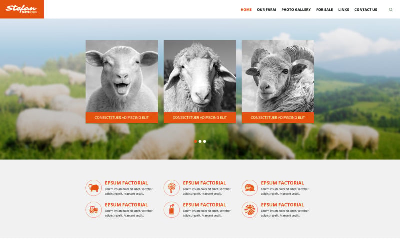 Sheep Farm Website Template Sheep Farm Website Template